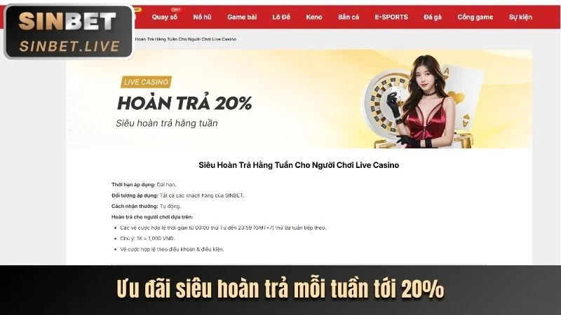Các Sự Kiện & Khuyến Mãi Độc Quyền
